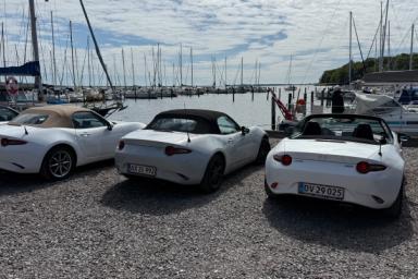 IMG_5447.jpeg IMG_5447.jpeg